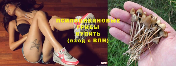 мдпв Красноперекопск